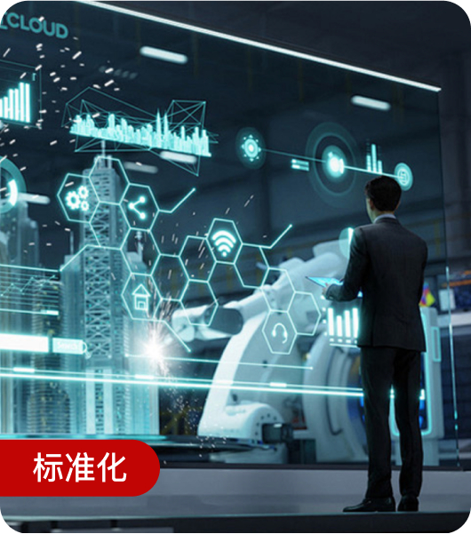标准化