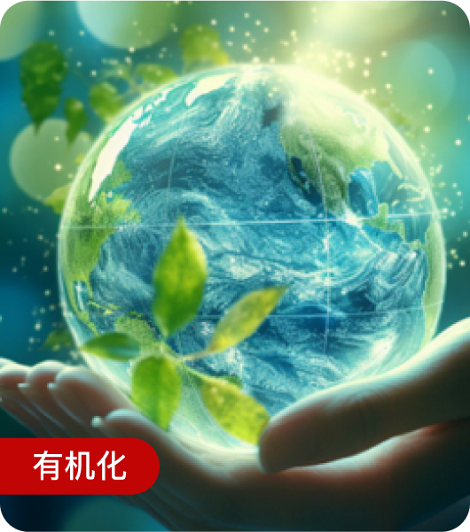 有机化